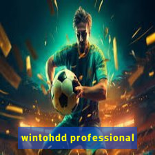 wintohdd professional